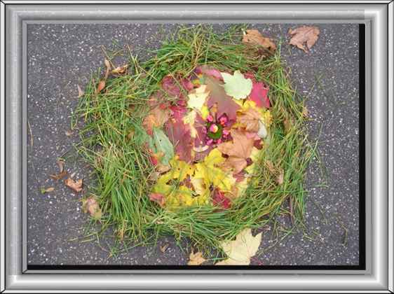 Bild4