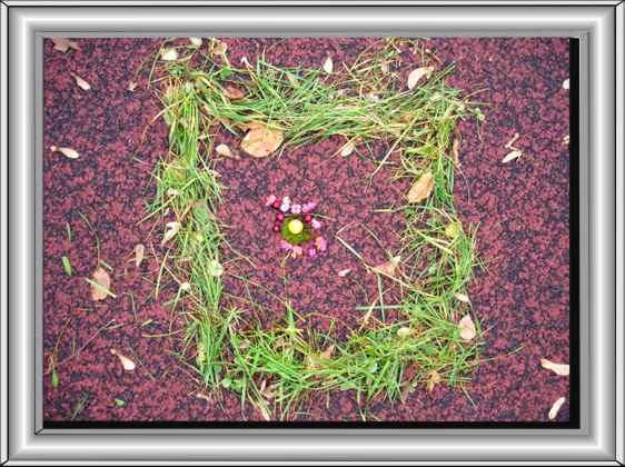Bild8