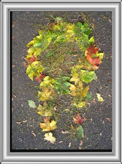 Bild11