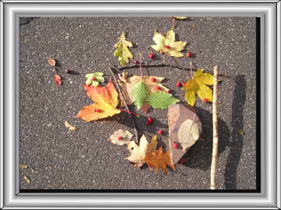 Bild12