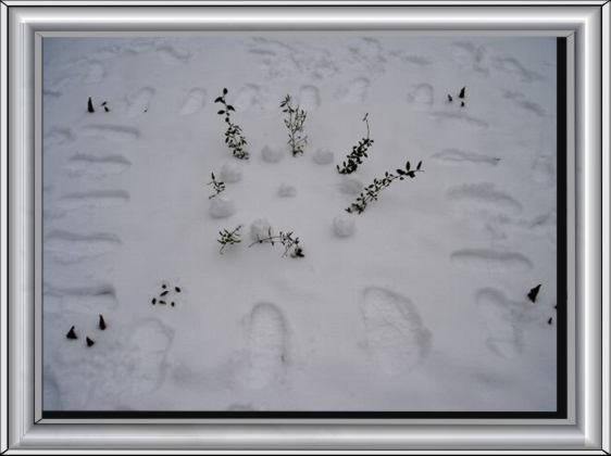Bild19