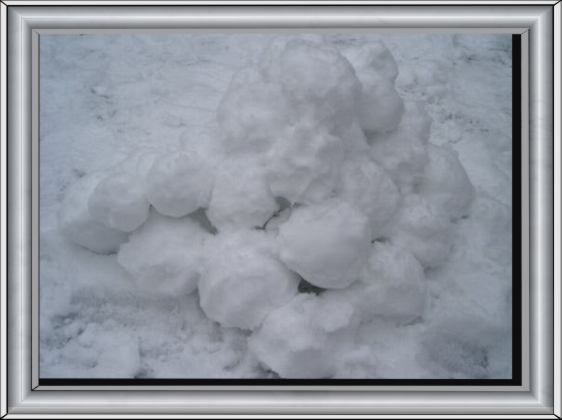 Bild21