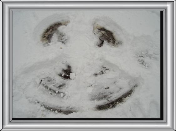 Bild25