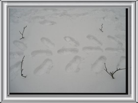 Bild26