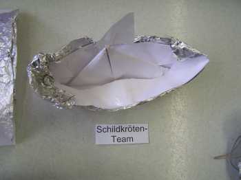 Schiff Schildkr&ouml;ten