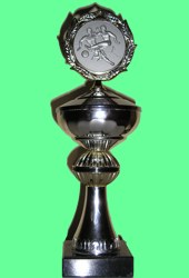Pokal