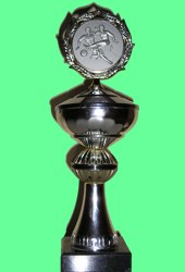 Pokal